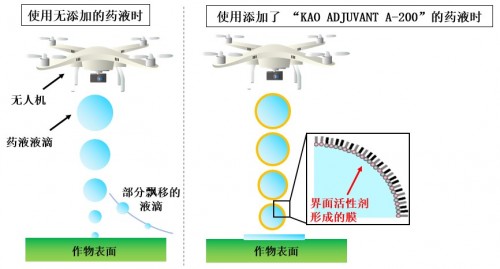 1641457712190297.jpeg 02.jpeg