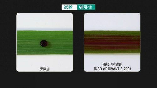 1641457750667289.jpeg 04.jpeg